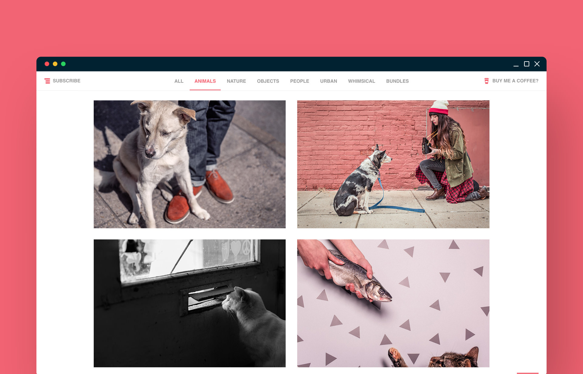 Gratisography: Web Project, Photography Resource, by Ryan McGuire